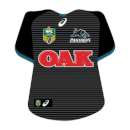 Panthers NRL Jersey Icing Image